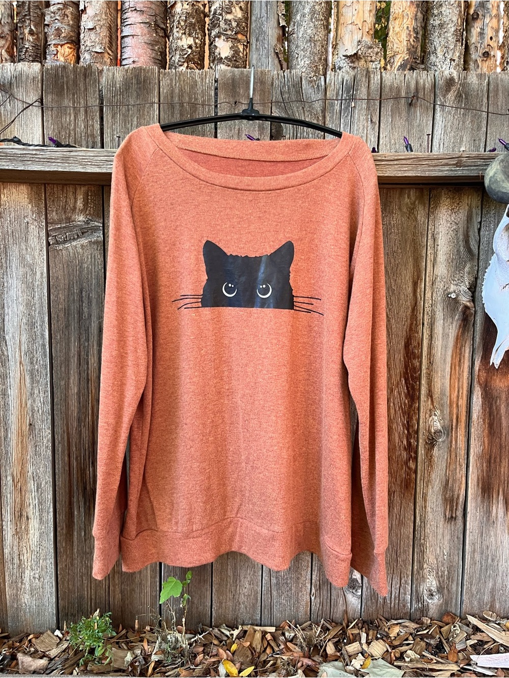Cat Graphic Pullover Sweatshirt - Rust Orange 🐈⬛